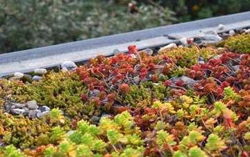 the cost of Clennell green roof installation