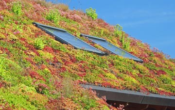 Clennell living roof systems