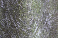 Clennell fibreglass roof work